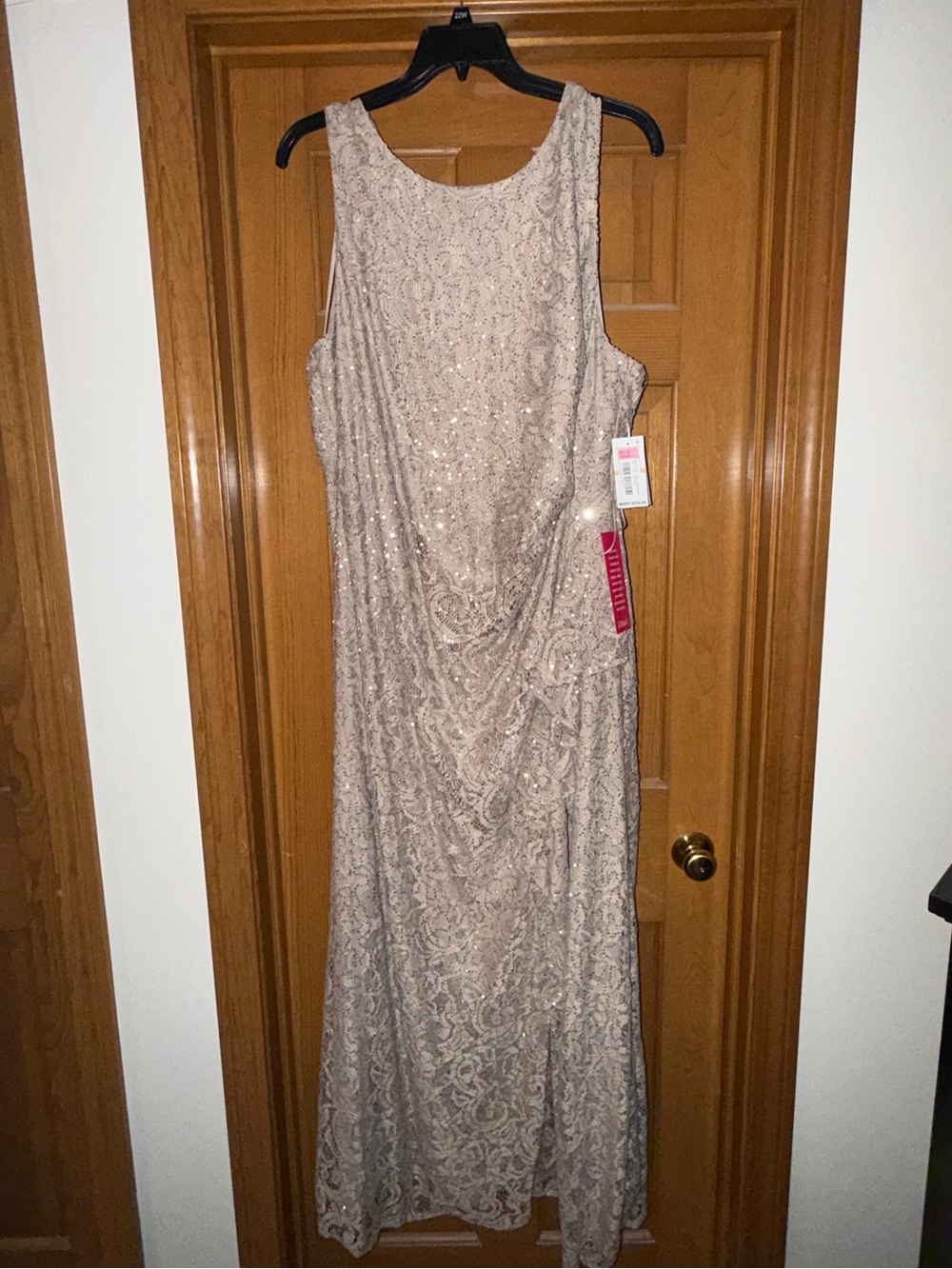 Alex Evenings Sleeveless Sequin Lace Maxi Dress in Light Champagne